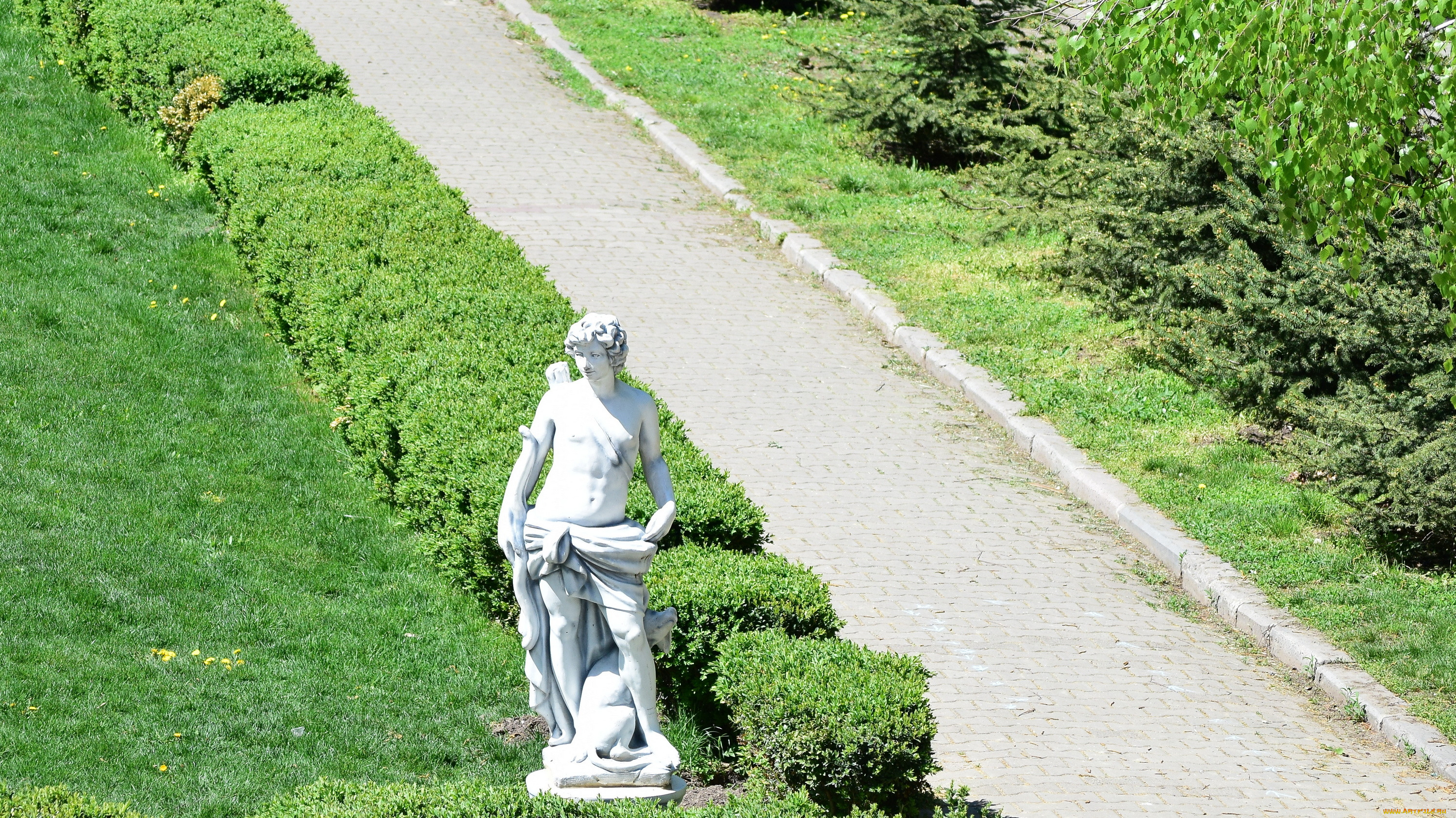 , - ,  ,  -, , 